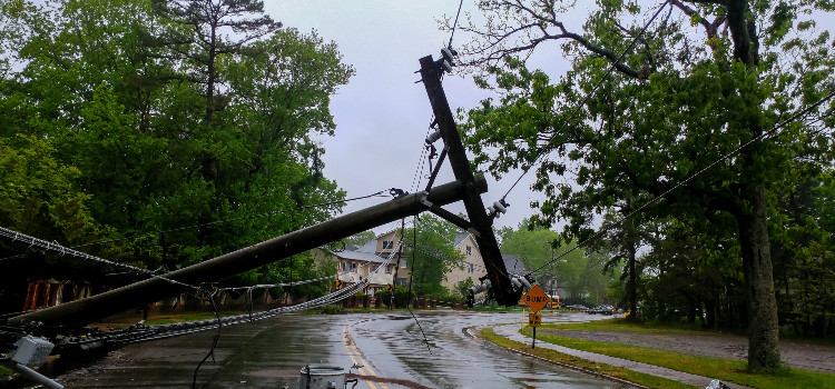 telephone pole blown over by the hurricane