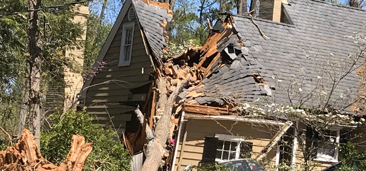 a tree that has been blown into a house roof during a hurricane
