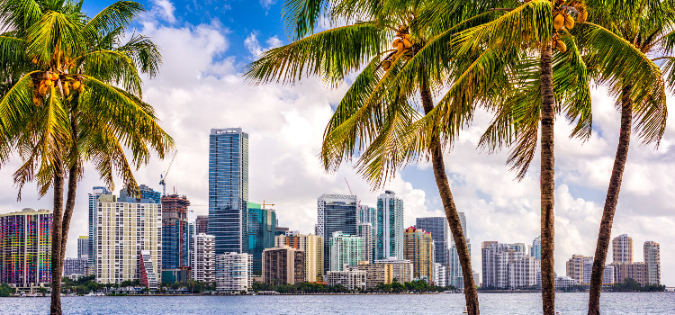 skyline of Miami, Florida